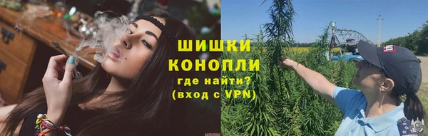 сатива Бронницы