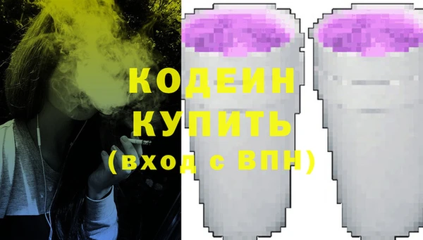 амф Верхний Тагил