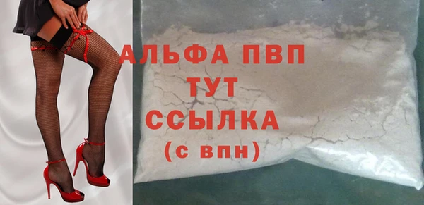 амф Верхний Тагил