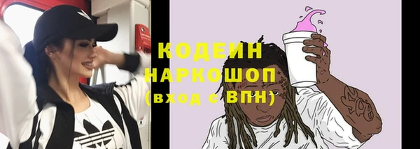 амф Верхний Тагил