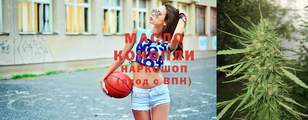 амф Верхний Тагил