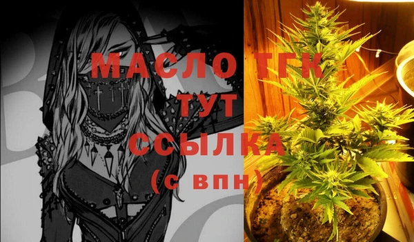 амф Верхний Тагил